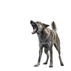 Imagen PNG para descargar